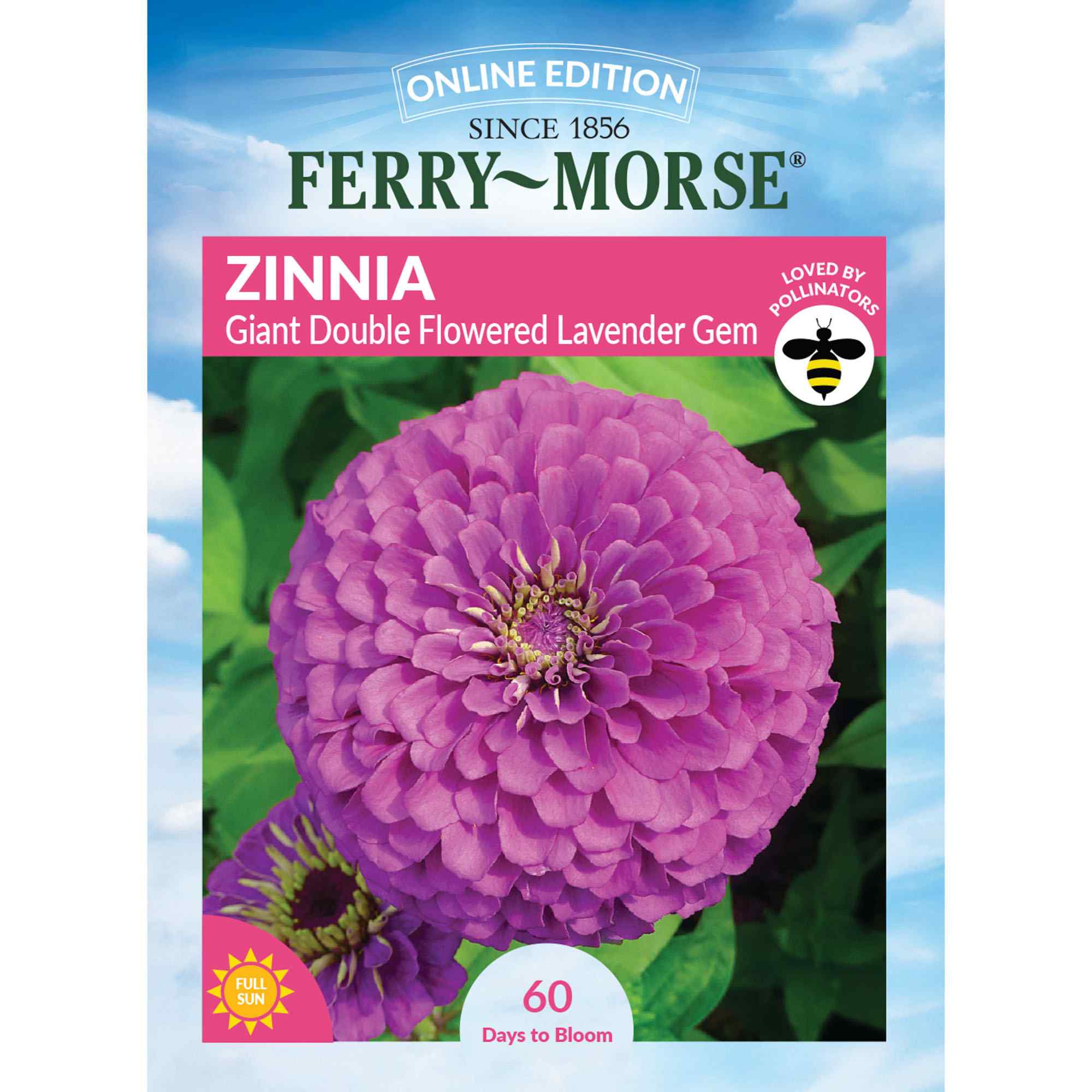 Zinnia giant double flowered lavender gem front of packaging
